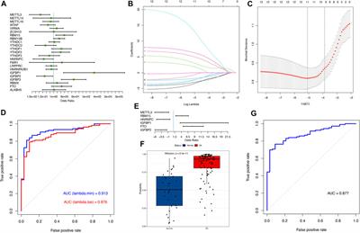 N6-methyladenine regulator-mediated RNA methylation modification patterns in immune microenvironment regulation of osteoarthritis